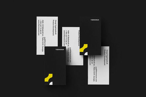 平面設計視角下的Thermorum家用電子產品品牌形象構建與互聯網技術融合