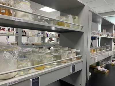 小康夢圓 | 留學歸國創業者鄭春陽 以“酶”為筆，在通信技術開發中書寫生物企業的創新故事