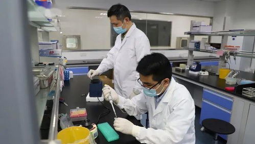 科技抗疫新突破 滬企融合通信技術，核酸檢測時間大幅縮短至1小時
